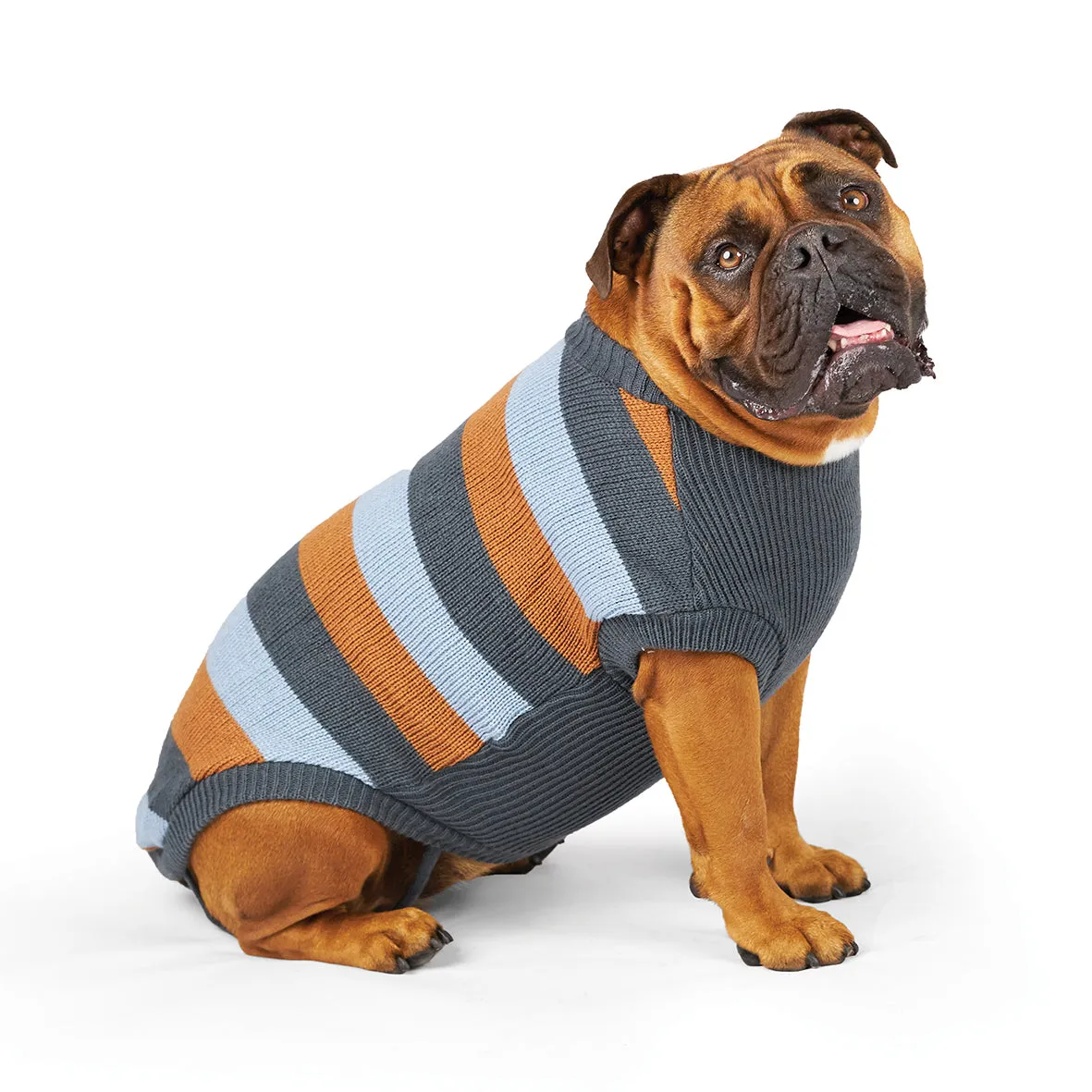 Kazoo Apparel Bumble Dog Jumper Seagrass Extra Extra Small ***